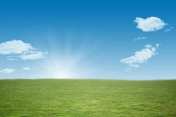 Schilderijen op glas Grassy meadow is stretching under rising sun at horizon in flat design with glowing rays, clouds © vectorfusionart