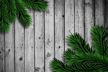 Fir branches on wooden planks