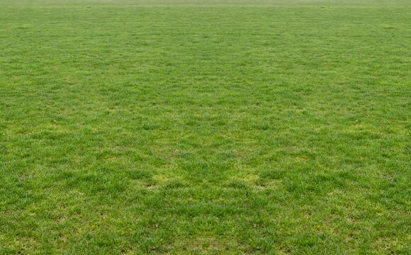 Fototapeta Uniform green grass turf is being shown in flat design outdoor field under cloudy sky