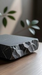 Textured Gray Surface with Dramatic Shadows and Plant Detail for mockup 