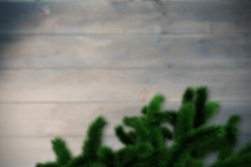 Fototapeta premium Blurred fir tree branches