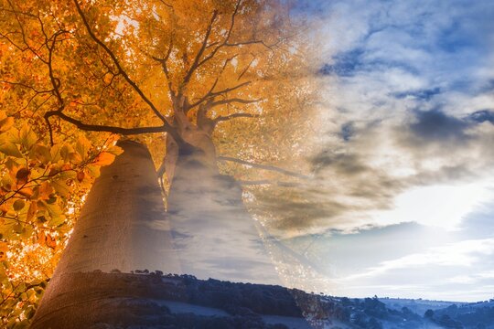 Fototapeta Autumn changing to winter