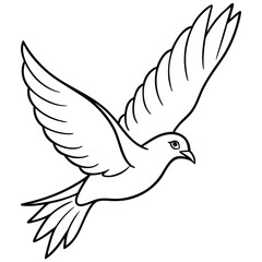 Obraz premium flying bird outline illustration