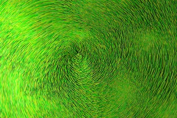 Overhead view of green optical fiber