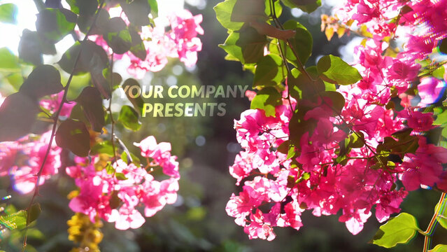 Flowers logo Opener