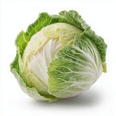 Fototapeta premium realistic and professional photograph of a white cabbage, highlighting its natural beauty and texture.