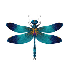 dragonfly isolated on white