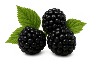 Ripe blackberries with vibrant green leaves are isolated on a transparent background, perfect for food and beverage projects