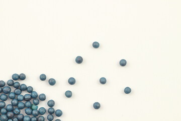 白菜の種、小さな宝