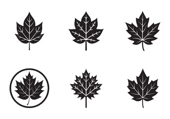 set autumn icon silhouette vector illustration