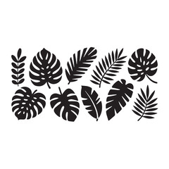 Collection of black silhouette tropical monstera and palm leaves on white background