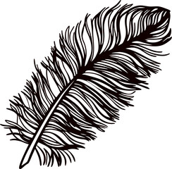 Obraz premium Intricately detailed black feather illustration isolated on white background, hand drawn vintage engraving