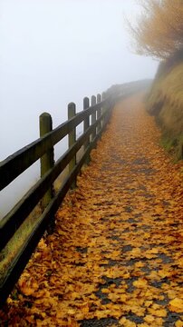 Foggy path covered in golden autumn leaves next to a wooden fence, fading into the mist