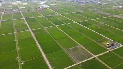 ドローンで上空から撮影した田園風景