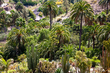 Palmitos Park, Island Gran Canaria, Canary Islands, Spain, Europe.