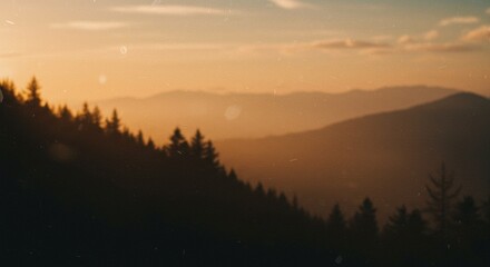Vintage cinematic overlay with grain and light burn, great for distressed photo editing and film simulation