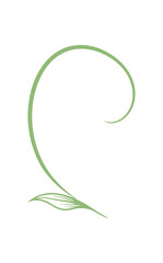 Green Leaf Curl Vector Icon on White