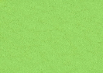 黄緑色の紙