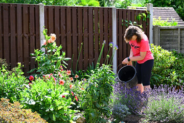 Woman watering plants with a bucket, during the 2025 hose pipe ban.