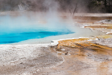 Brilliant Turquoise Hot Spring in Yellowstone National Park