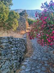 Houses ruines in Drakopoulata, abandonned village in Kefalonia after an earthquake with a panoramic mountain view and Bougainvillea , hidden gem in Kefalonia island, Greece