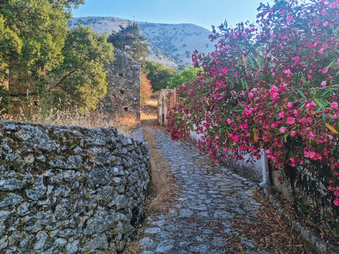 Houses ruines in Drakopoulata, abandonned village in Kefalonia after an earthquake with a panoramic mountain view and Bougainvillea , hidden gem in Kefalonia island, Greece