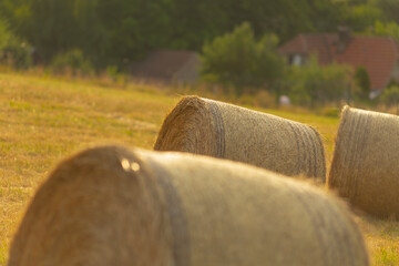 In a wide open field, three bales of hay are currently resting peacefully under the sun, surrounded...