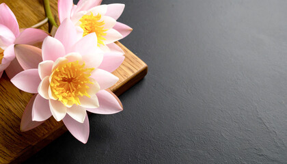 黒い背景に白いハスの花