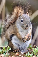 Yukon Territories, Canada