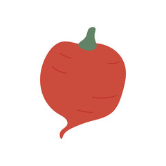 Rustic red beetroot with natural form and garden vibe, ideal for organic market promotions, farm-to-table visuals, or healthy eating guides.