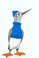 Anthropomorphic Bird Illustration Wearing Blue Sweater and Beanie with Speckled Head on White Background