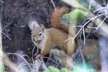 Yukon Territories, Canada