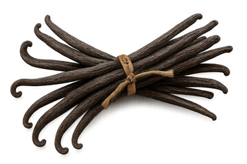 Vanilla beans bundled together, secured by rustic twine, resting against clear backdrop, revealing intricate surface details and deep brown coloration