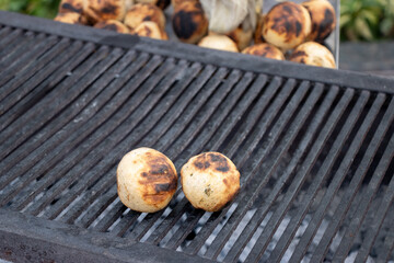 Traditional Bihari dish Litti Chokha served on a plate, showcasing authentic Indian cuisine and regional street food culture.

