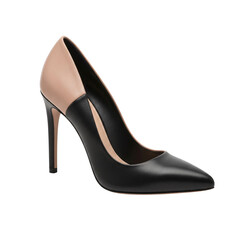 Two-tone high heel pump shoe