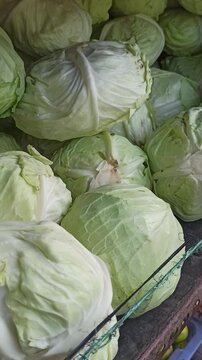 Cabbage is a leafy green vegetable known for its dense head and crisp texture, widely used in salads, stir-fries, soups, and fermented dishes