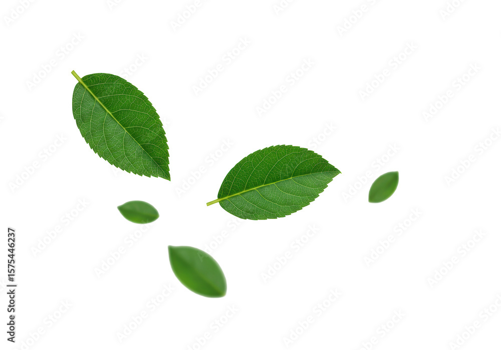 Poster multiple vibrant emerald green leaves, some razor-sharp, others with elegant motion blur, gently des