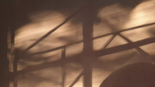 Window trellis shadow on white wall at sunset