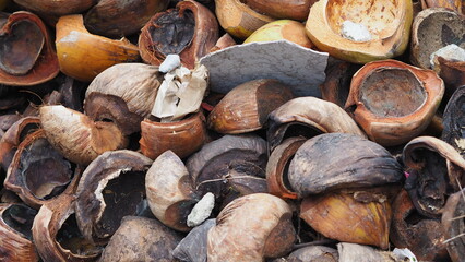 Coconut shells that are burned until they are charred black
