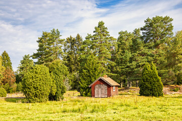 Red wooden shed on a meadow by the forest edge