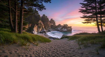 a winding path of footprints in clean sand with grass, tall pine trees nearby