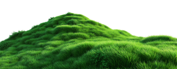 Green Grass Mound with Soft Textures on Transparent Background