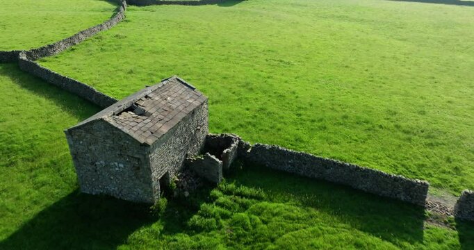 Sheep and barns on green pastures