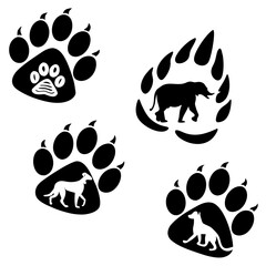 Animal paw prints with silhouettes of elephant and dogs