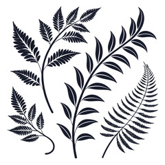 Naklejka premium Dark botanical foliage with delicate fronds and smooth leaves fern leaves botanical illustration