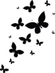Silhouette of Many Butterflies in Flight