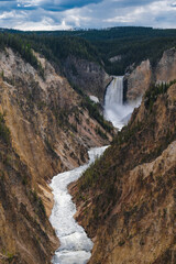 Obraz premium Lower Falls of Yellowstone River Plunging into Canyon