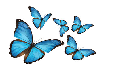 Group of vivid blue butterflies in flight isolated on transparent background, symbol of transformation and freedom, watercolor-style illustration Png