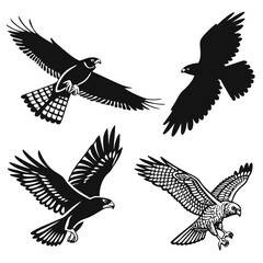 Four falcons in flight silhouettes bird flying