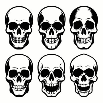 Human skull silhouettes front view skeleton head